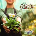 Let’s Garden