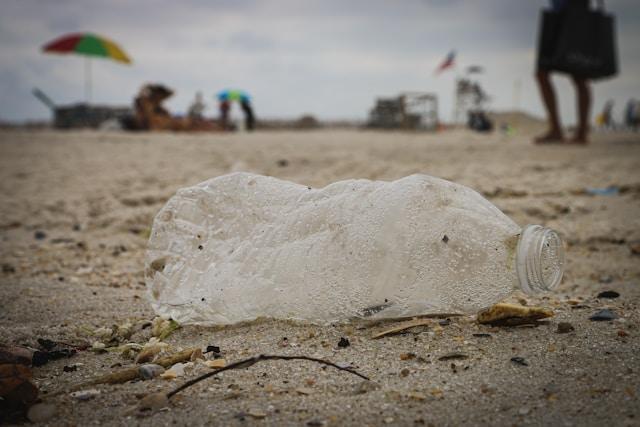 Kenosha beach cleanup aims to remove plastic litter from shoreline