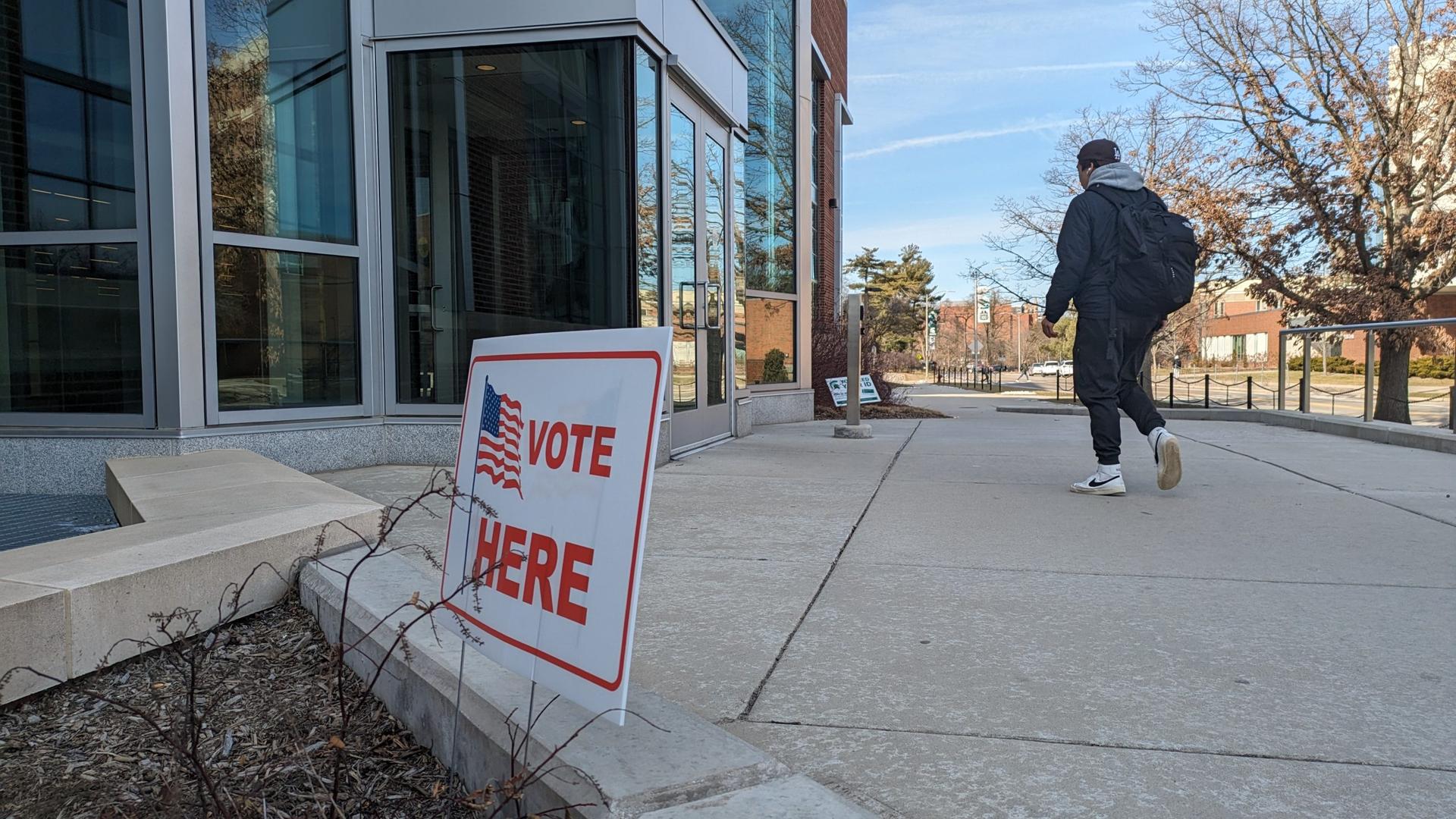 Michigan election  this Tuesday: school bonds, special Senate race. What to know