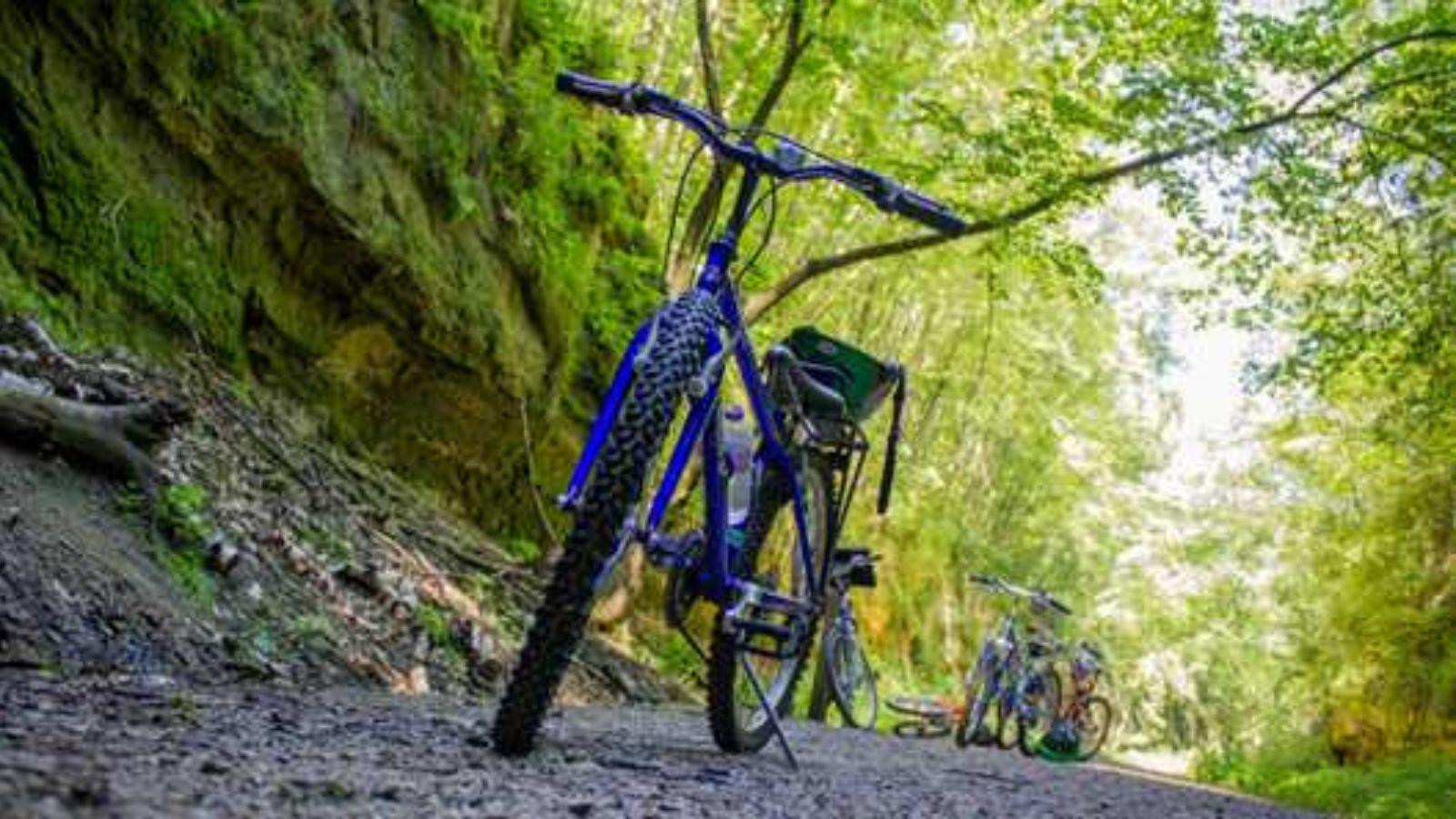 DNR: State trail passes for 2023 now being sold