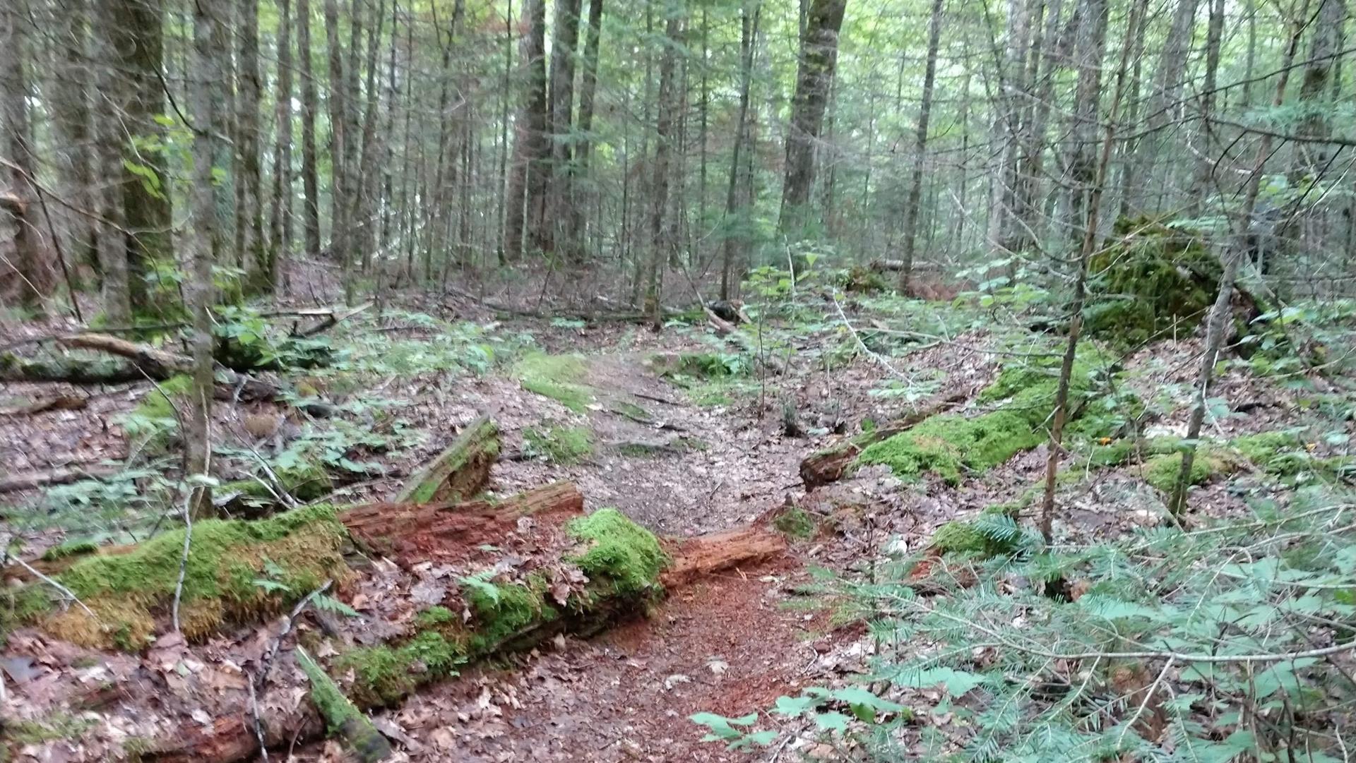 New Ice Age Trail Communities: Hatley and the Greater Wausau Area