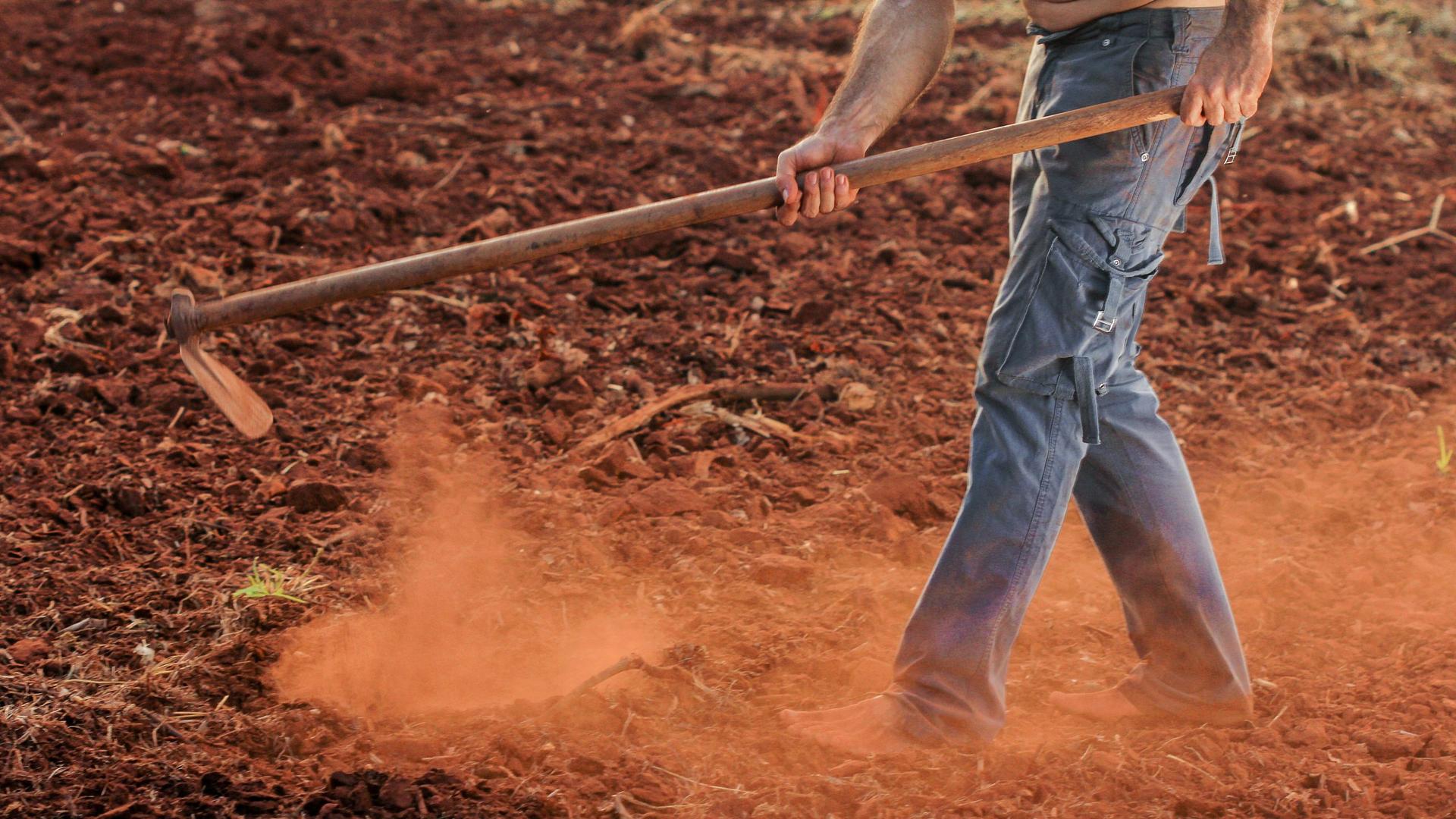 Wisconsin Farmers Struggle with Mental Health