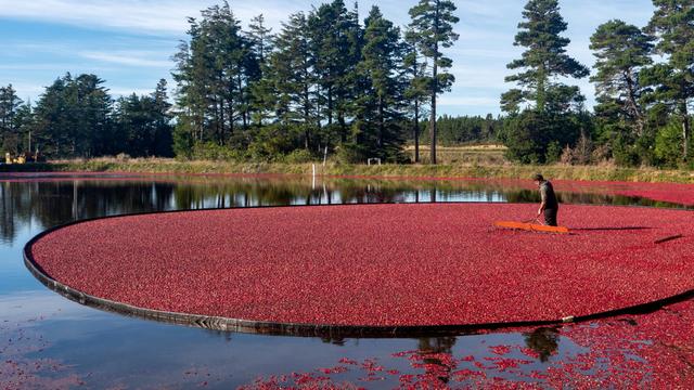 Cranberry Growers Association  – September ‘25