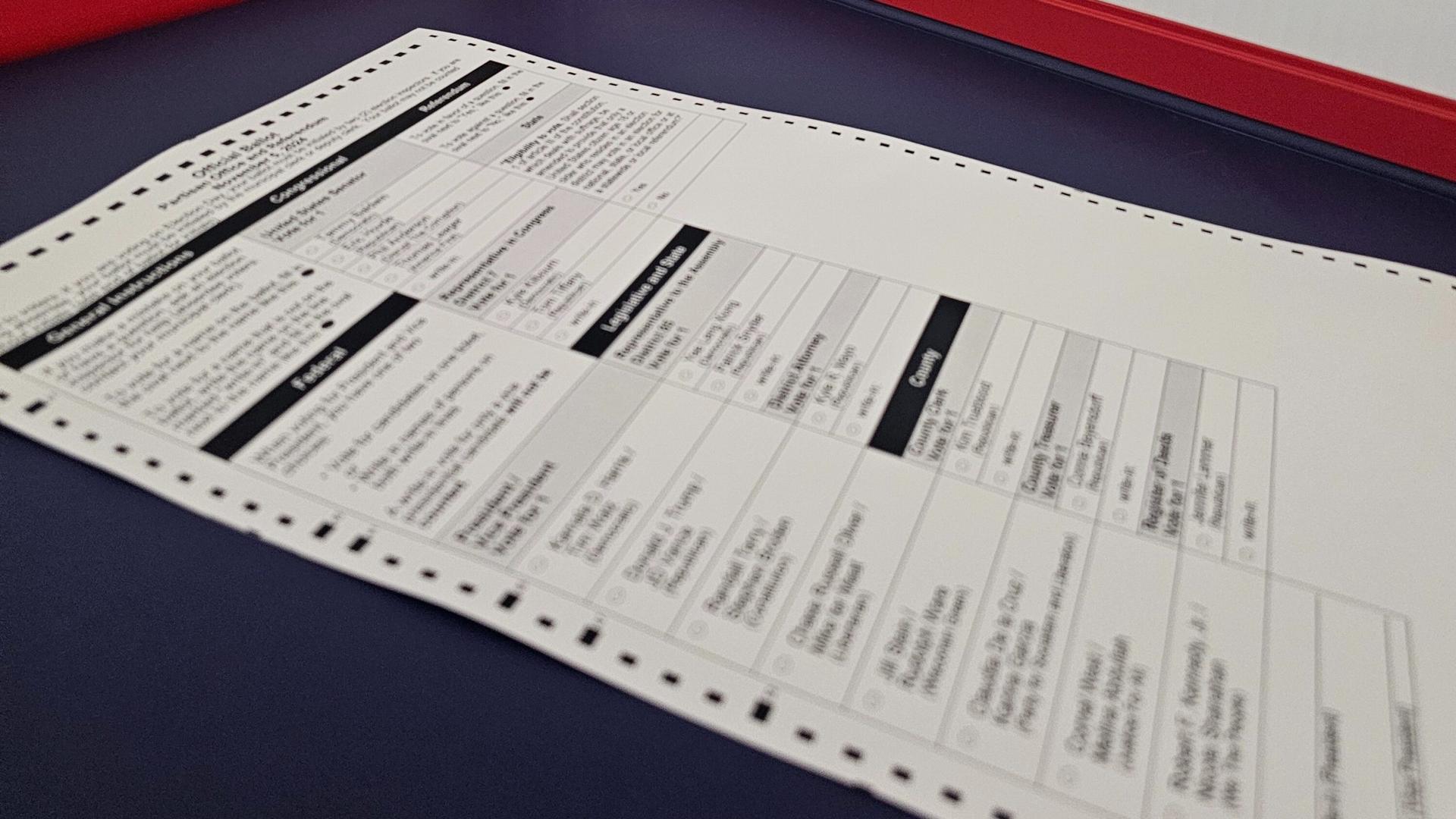 Races Set for Madison Common Council Election