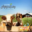 Let’s Talk Agriculture