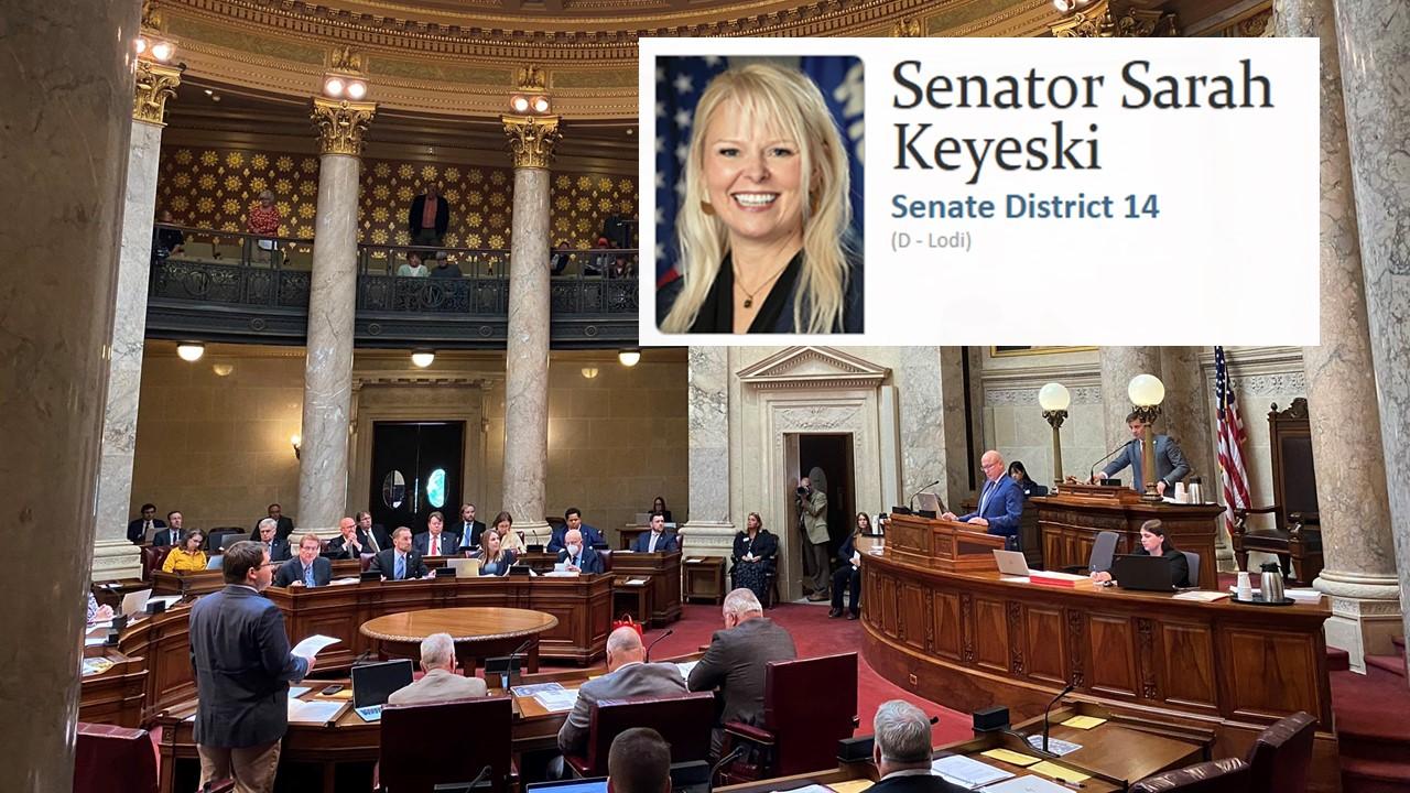 Wisconsin Senate again considering postpartum care