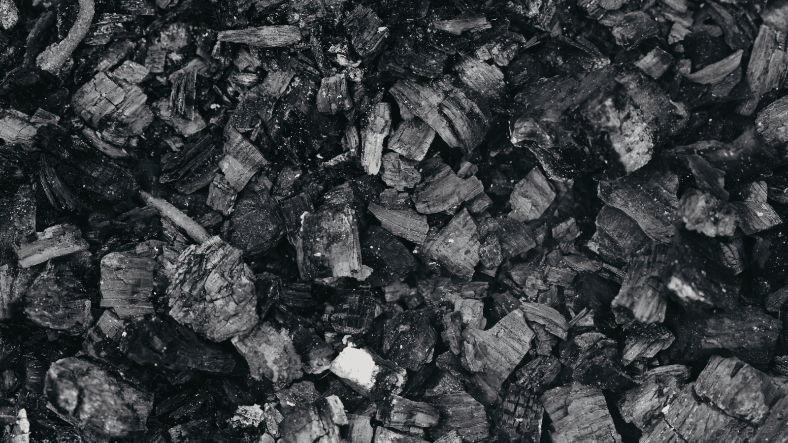 Green Bay commits up to $2.2 M for coal piles relocation project