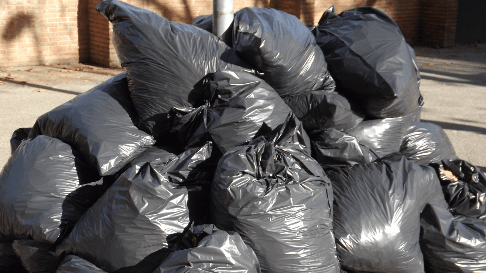 Draft to Change Garbage Collection in Green Bay