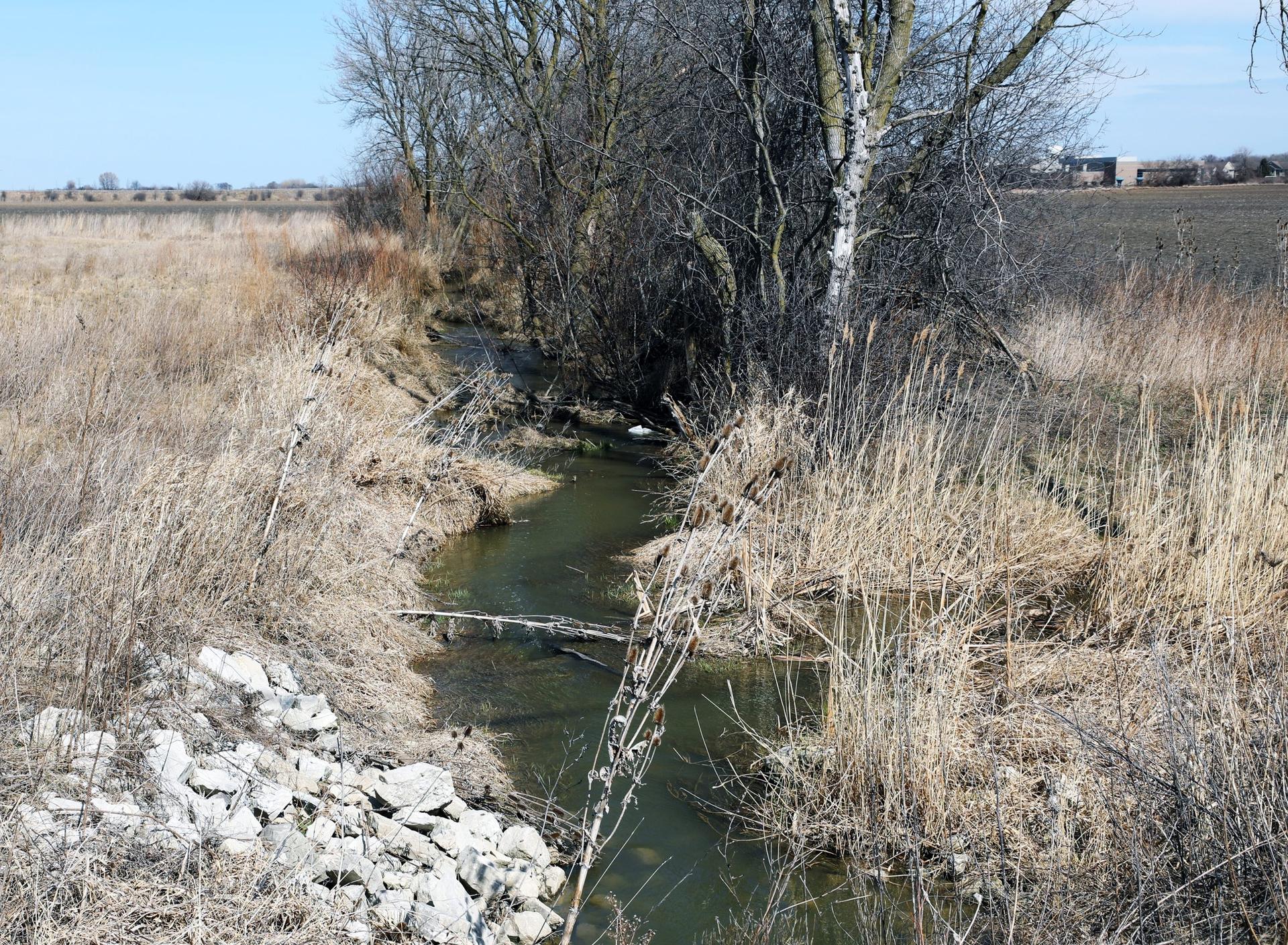 Kenosha’s ‘Ecological Gem’: Pike River Restoration Gets Green Light