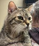 This Is Sparta! (Hour 2)