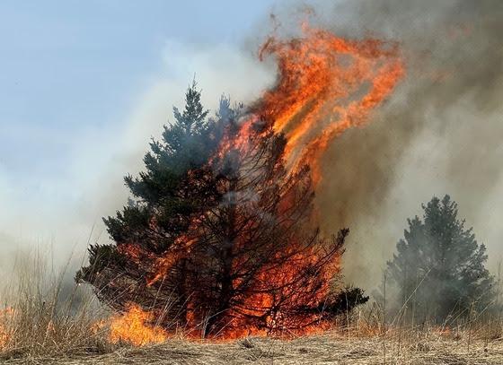 Five counties at risk for wildfires; DNR issues Red Flag Warning