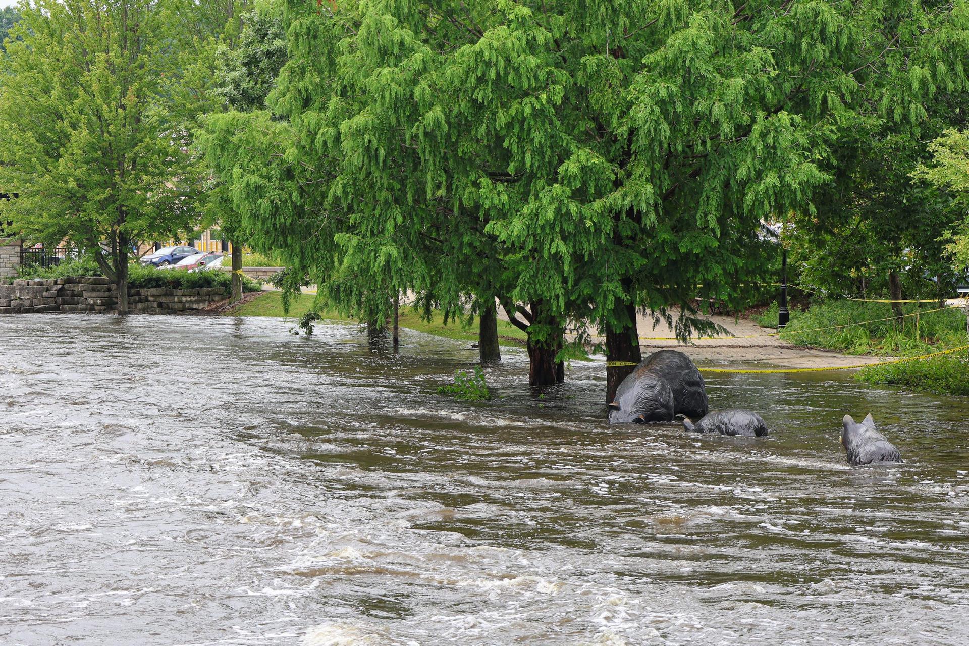 Red Cross, Community Partners Team Up for Flood Relief in Milwaukee