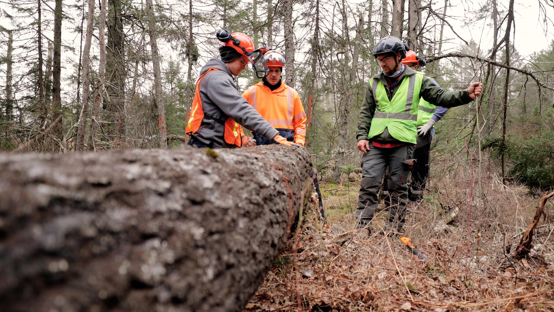 Forest Products Week wraps up