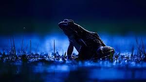 Founder of Wisconsinology Frank Anderson history & the weird side of the state (Hour 2)