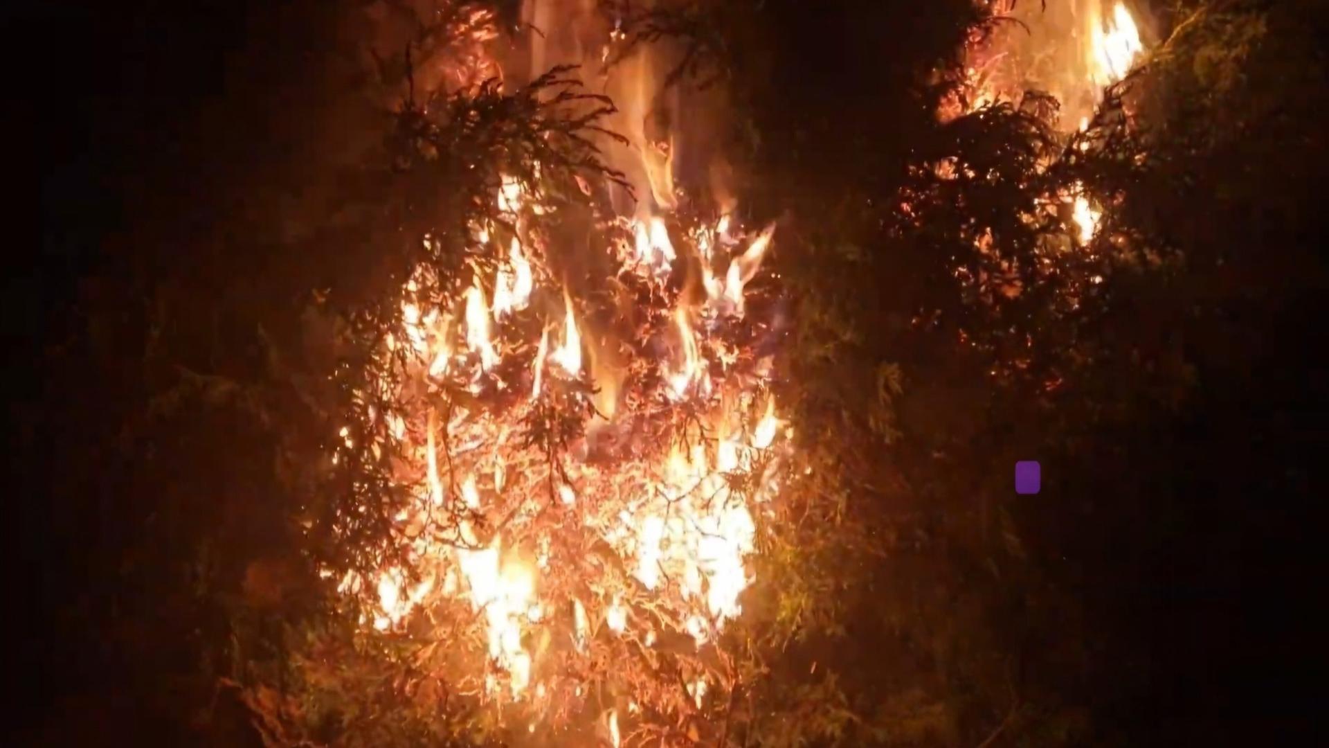 Prolonged Drought Sparks Elevated Fire Risk