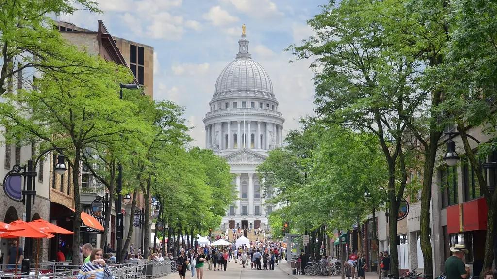 Madison leaders considering added protections for city trees