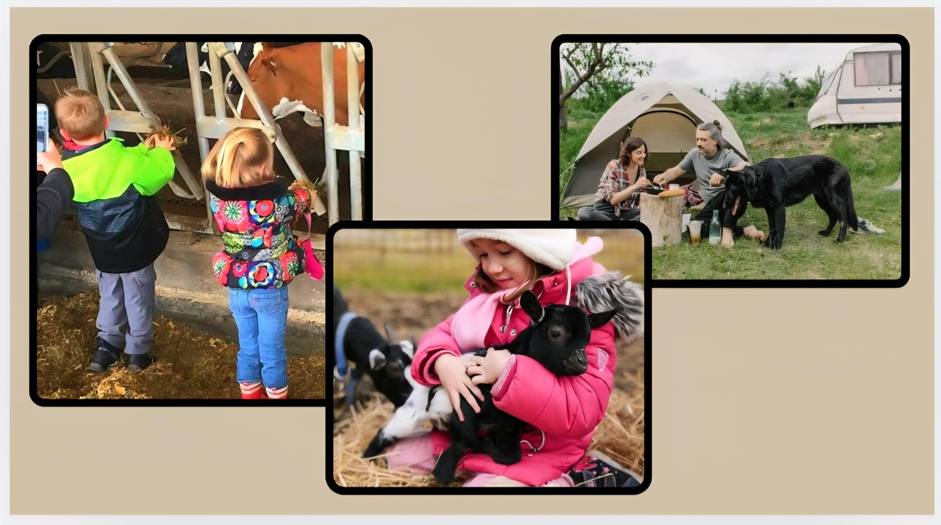 Wisconsin Farmers want Freedom to Make Money with Ag-Tourism