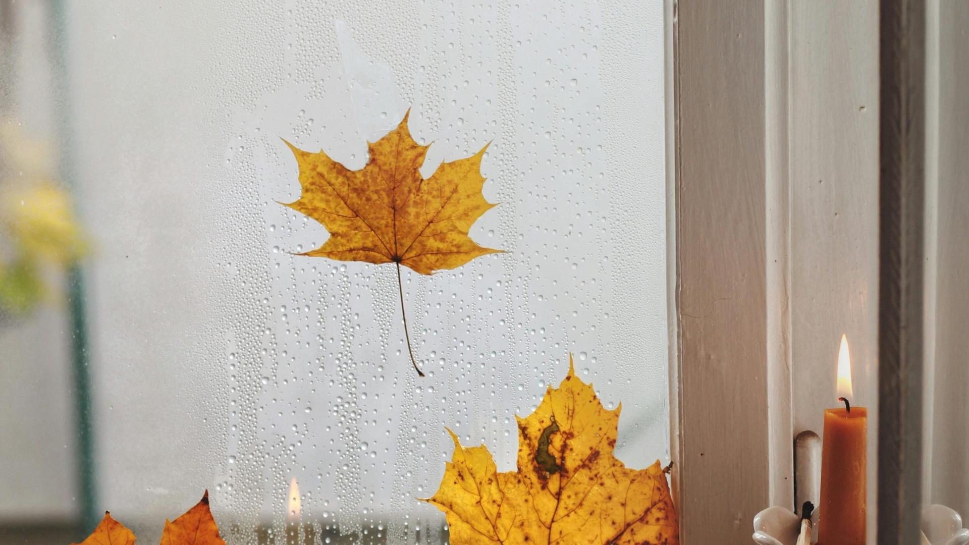 A Fall-Feel Weekend Ahead in Wisconsin