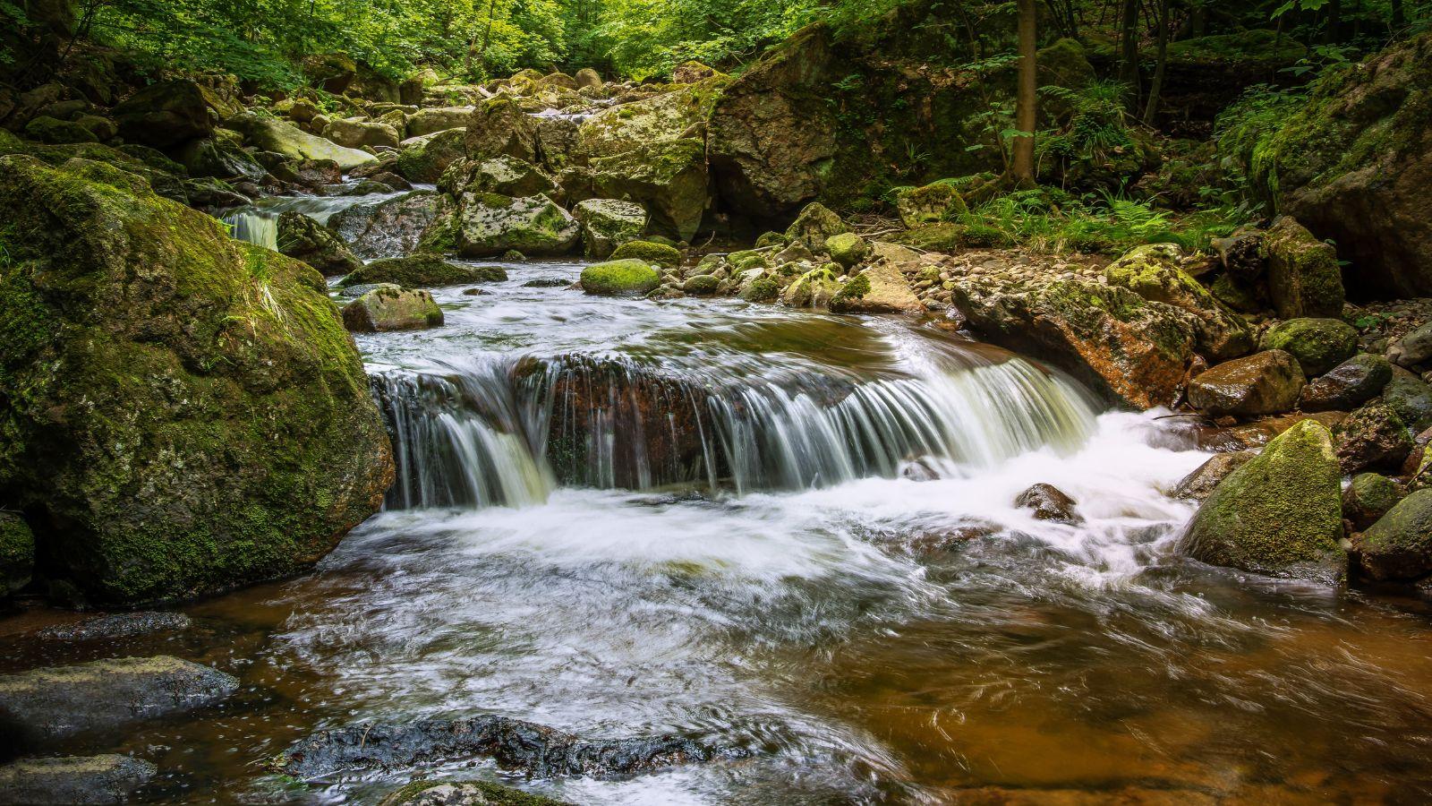 UW-River Falls Receives State Funding for Water Quality Projects