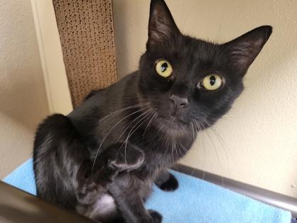 Wednesday on a Thursday! (Hour 2)