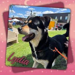 Meet Lydia(Bonnie)!!(Hour 2)