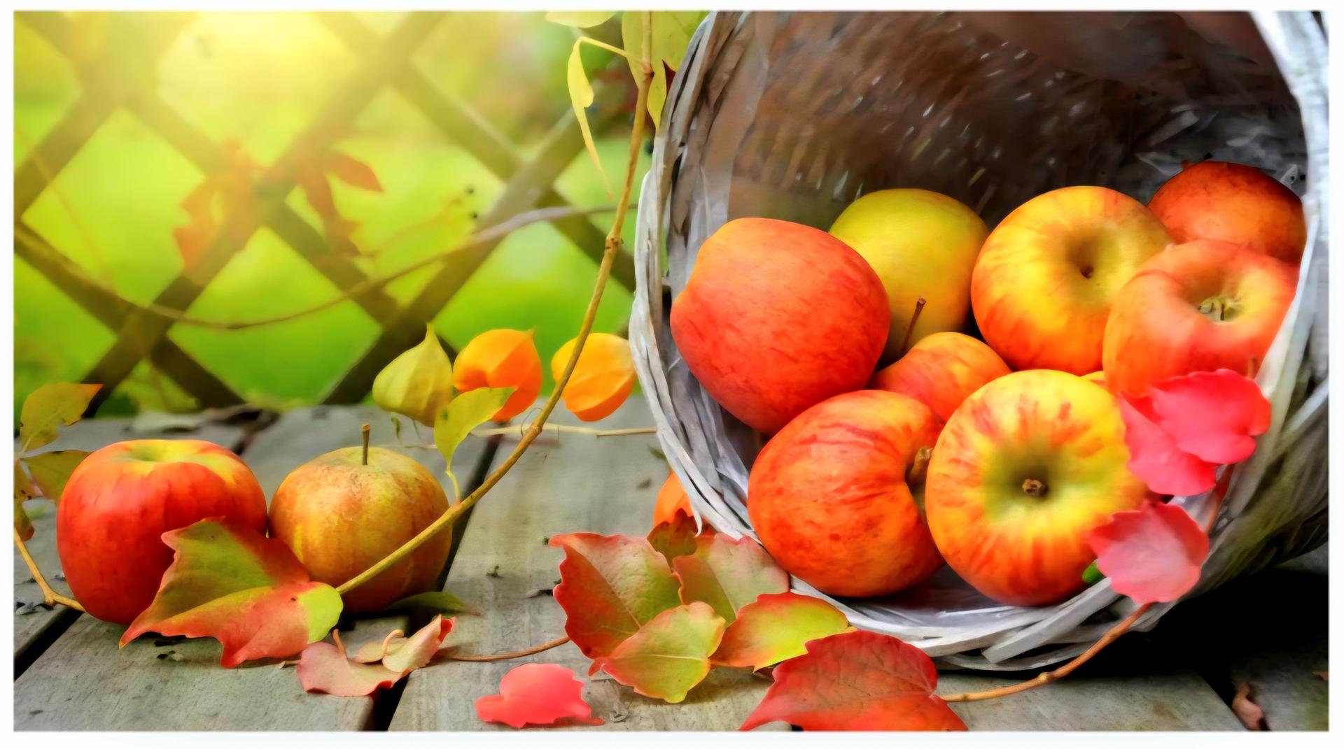 Sweet Harvest as State Farmers Push Through Season of Change