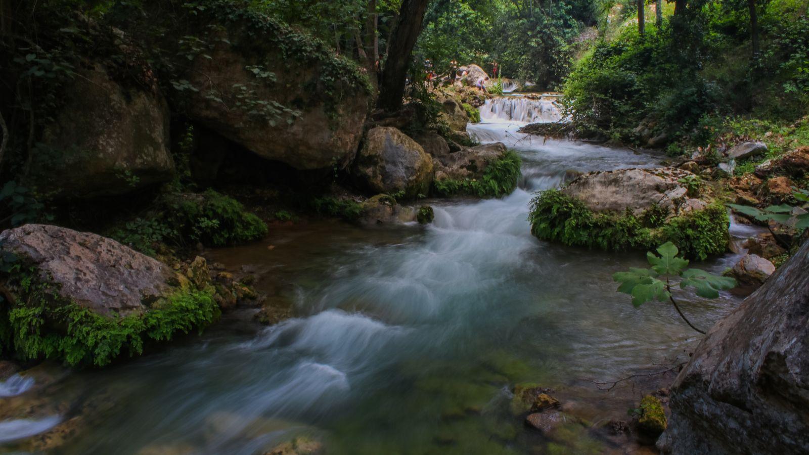 Ashland Nonprofit Moves Section of Creek to Keep Sediments Out