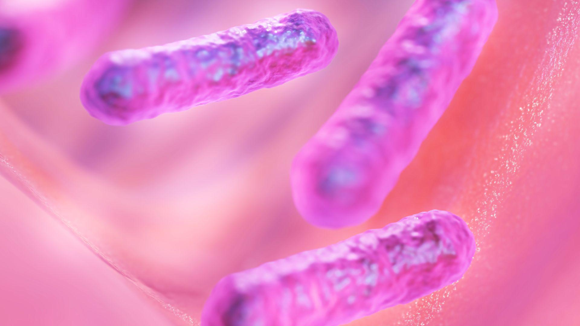 We have a state bird. We have a state dance. Now, lawmakers have proposed a state microbe.