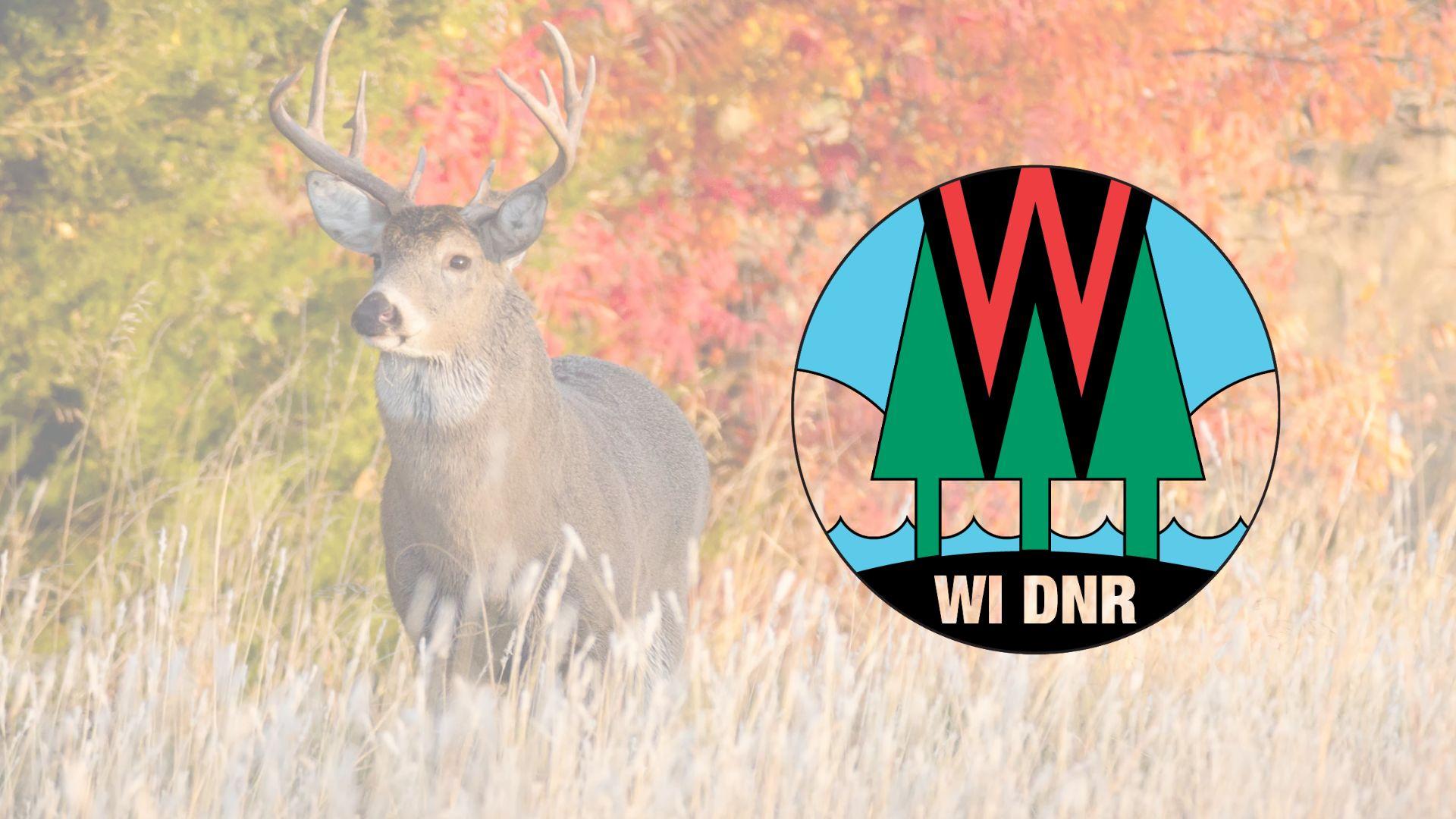 Gun deer opening weekend numbers