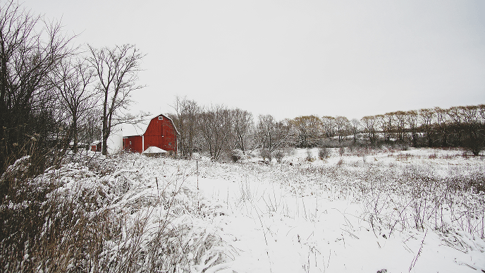 Winter farm scene